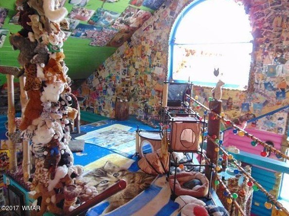 Kamar Kucing